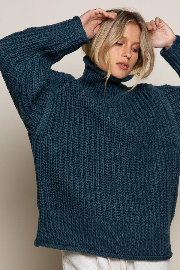 Chunky Ribbed Turtle Neck Sweater