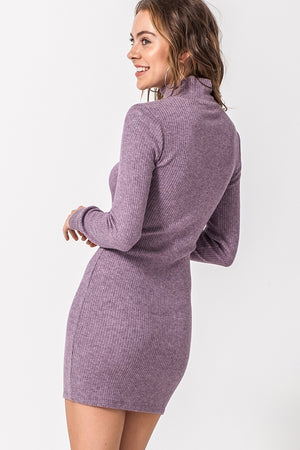 Highneck Ribbed Bodycon Sweater Dress