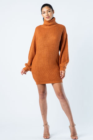 Oversized Sweater Dress - shopretailery