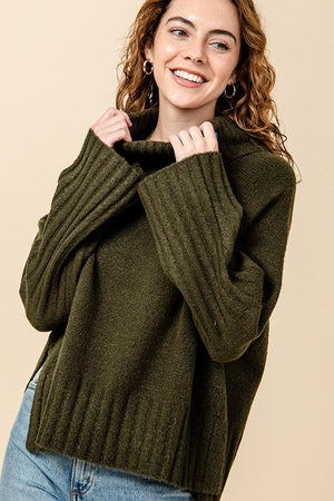 Turtle Neck Wide Sleeve Knit Top